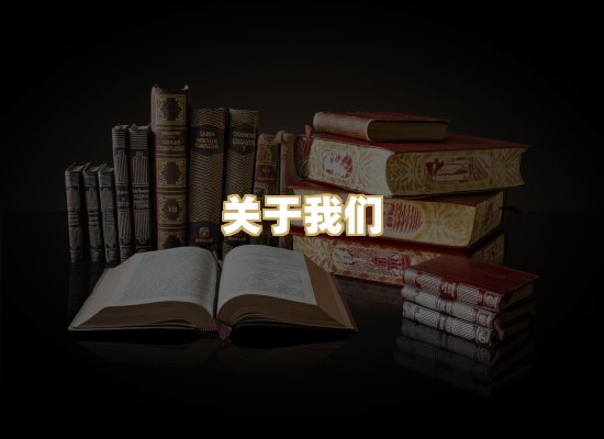 关于我们